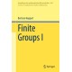 Finite Groups I