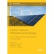 Carbon Capture Utilization and Storage: Law, Policy and Standardization Perspectives