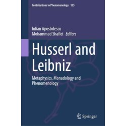 Husserl and Leibniz: Metaphysics, Monadology and Phenomenology