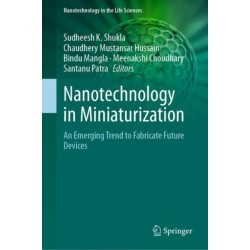 Nanotechnology in Miniaturization: An Emerging Trend to Fabricate Future Devices