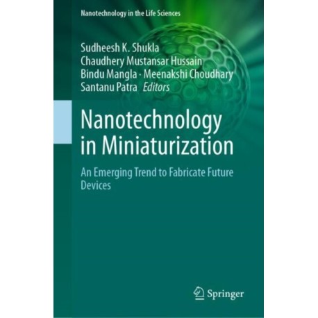 Nanotechnology in Miniaturization: An Emerging Trend to Fabricate Future Devices