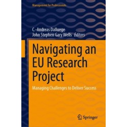 Navigating an EU Research Project: Managing Challenges to Deliver Success