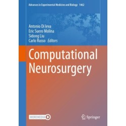 Computational Neurosurgery