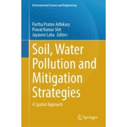 Soil, Water Pollution and Mitigation Strategies: A Spatial Approach