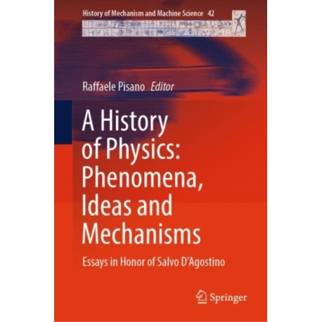A History of Physics: Phenomena, Ideas and Mechanisms: Essays in Honor of Salvo D'Agostino