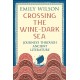 Crossing the Wine-Dark Sea: Journeys through Ancient Literature