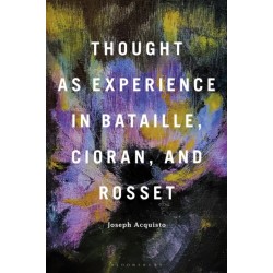 Thought as Experience in Bataille, Cioran, and Rosset