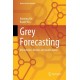 Grey Forecasting: Mechanism, Models and Applications