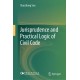 Jurisprudence and Practical Logic of Civil Code
