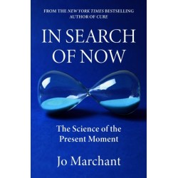 In Search of Now: The Science and Mystery of the Present Moment