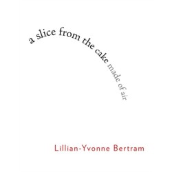 a slice from the cake made of air