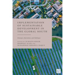 Implementation of Sustainable Development in the Global South: Strategies, Innovations, and Challenges