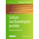 Schizosaccharomyces pombe: Methods and Protocols