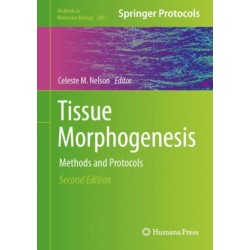 Tissue Morphogenesis: Methods and Protocols