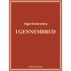 I gennembrud