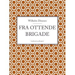 Fra ottende brigade