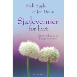Sjælevenner for livet: En praktisk guide til kærlige relationer