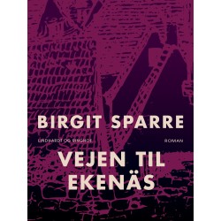 Vejen til Ekenäs