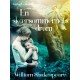 En skærsommernatsdrøm