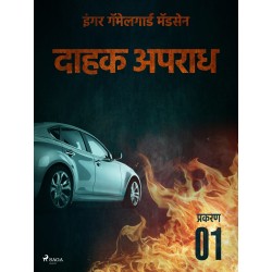 दाहक अपराध - प्रकरण १