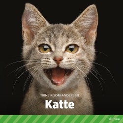 Katte
