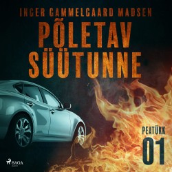Põletav süütunne – 1. peatükk