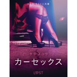 カーセックス - 官能短編小説