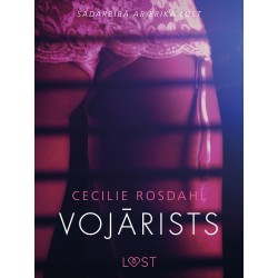 Vojārists - Erotisks stāsts