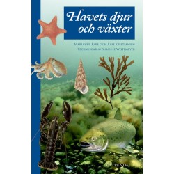 Havets djur och växter: Svensk udgave