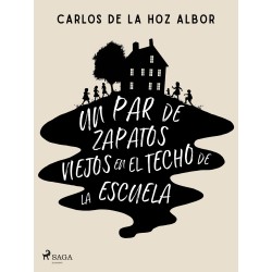 Un par de zapatos viejos en el techo de la escuela