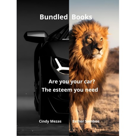 Bundled Books: Are You Your Car? | The Esteem You Need