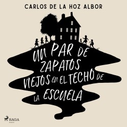 Un par de zapatos viejos en el techo de la escuela