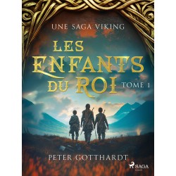 Les Enfants du Roi Tome 1 – Une saga viking