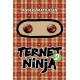 Ternet Ninja 2