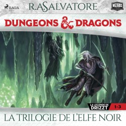 Compilation Dungeons & Dragons 1–3: La Trilogie de l’Elfe Noir