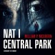Nat i Central Park