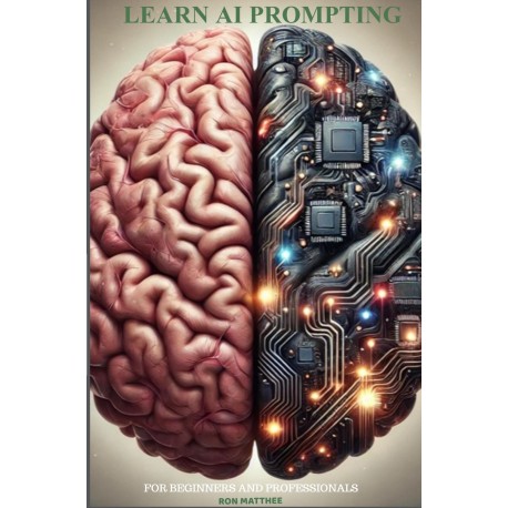Learn AI prompting: For beginners and professionals