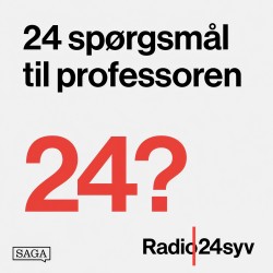 Når computeren bliver lærer - Direktør i Area9 og læge Ulrik Juul Christensen