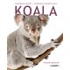 Koala: Verdens vildeste dyr