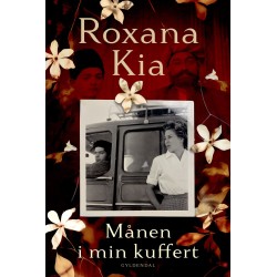 Månen i min kuffert