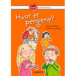 Hvor er pengene?