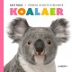 Koalaer