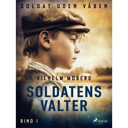 Soldat uden våben: Soldatens Valter – Bind 1