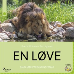 En løve