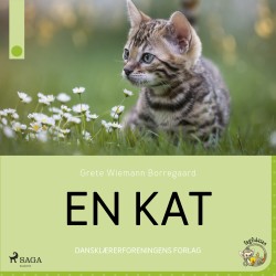 En kat