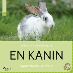 En kanin