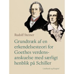 Grundtræk af en erkendelsesteori for Goethes verdensanskuelse med særligt henblik på Schiller