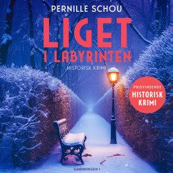 Liget i labyrinten