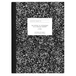 L.A.W.U.N Project -19 - Informal Itinerant Battery Powered Terrains