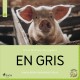 En gris